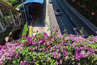 《王者荣耀》赵云嘻哈天王皮肤优化 妹子抵挡不住